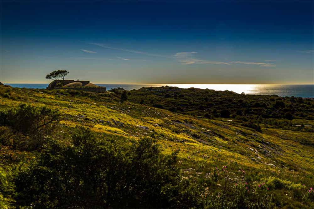Massif de la Clape